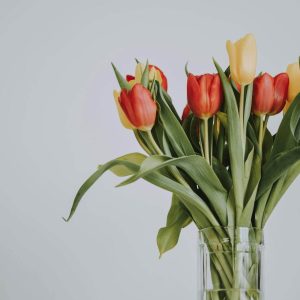 Prosoape, halat de baie