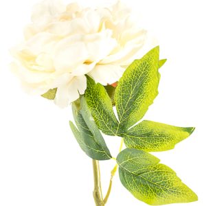 Floare decorativa PEONY, 66 cm, plastic