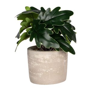 Planta decoratica in ghiveci VERO, 16 cm, plastic