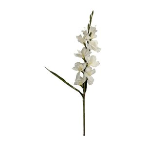 Floare GLADIOLUS, 100 cm