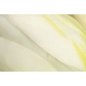 Floare decorativa  TULIP alb, 38 cm