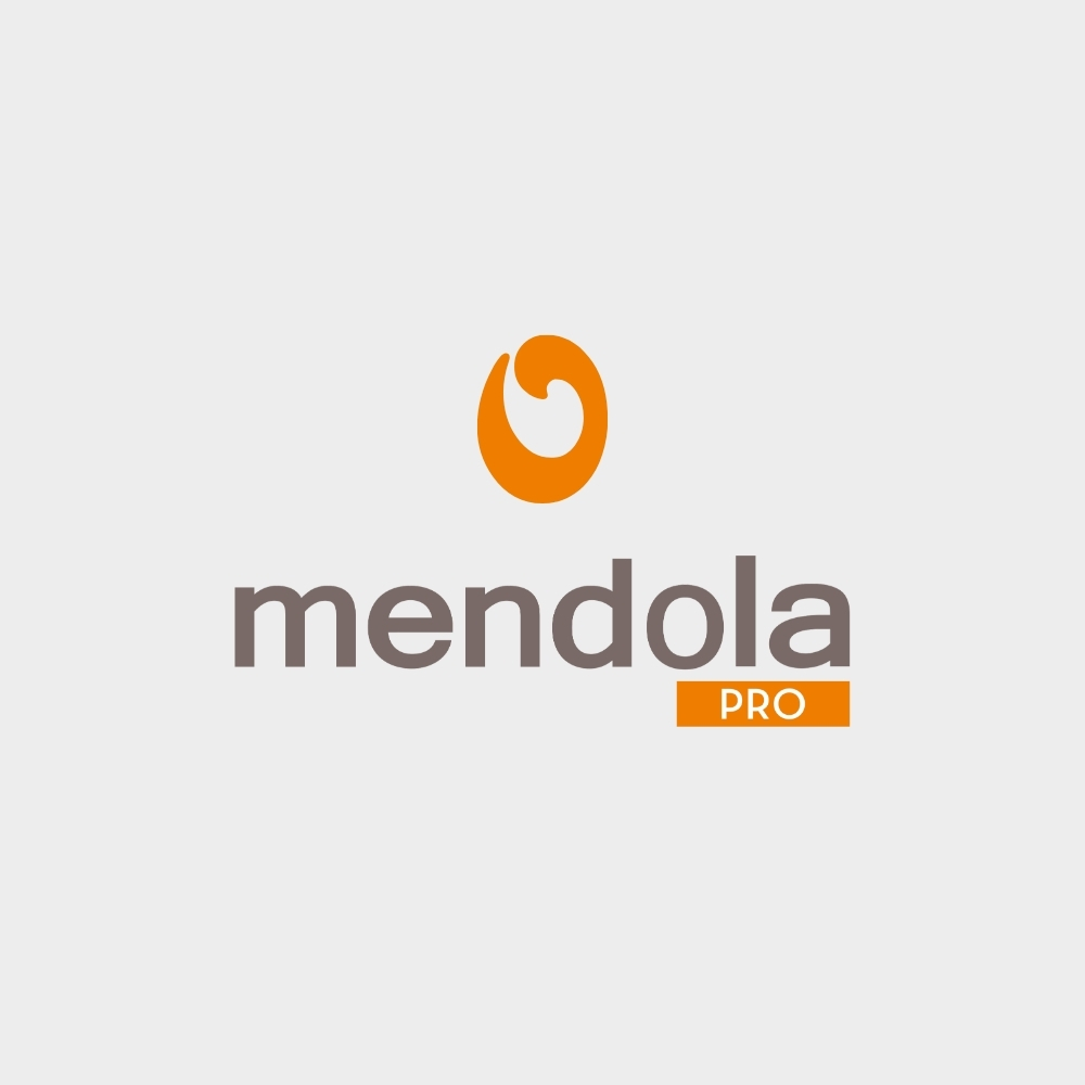 Mendola groups (12)